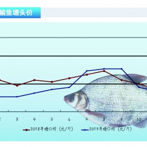 ���~���������^���~�r�ϝq���gС������ˮ�aǰ�ء�2020��1�¿��Ј�څ��