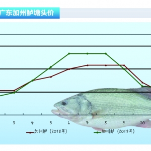 �����|���B��ϧ��+���p�����������~�r�ʻ�ů�B�ݡ�����ˮ�aǰ�ء�2020��1�¿��Ј�څ��