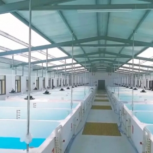 ���M���r�������������ܲ�һ�ӵĺ�ï