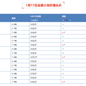 1��17��ȫ��С���r���^�r