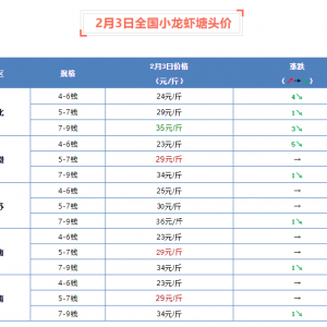 2��3��ȫ��С���r���^�r