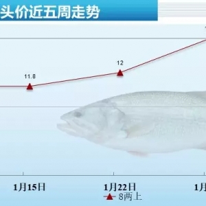 2020��2��5�ո����a(ch��n)�^(q��)�����|�������^��(b��o)�r(ji��)�c����һ�ܺ���