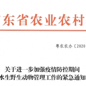 �o��֪ͨ���V�|ʡ�r�I�r��d�����q��ţ�ܡ��S�X�����A�M�����ڽ���֮�У�