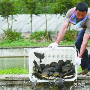 ���죬�Ҟ���~������