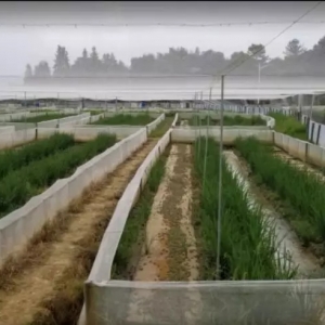 ���ϘI�߰l��Ո����ڰ����Bֳ�c��ͨ