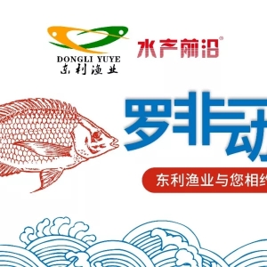 �B(y��ng)���e�O���~���ܳ����ٳ����٣������y�Լ�����| �|���O�I(y��)�ؼs