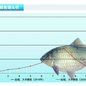 �a�~����·��⣬ˮ�aƷ��ͨ��u�֏ͣ����鷀������������ˮ�aǰ�ء�2020��3�¿��Ј�څ ...