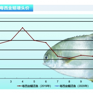 ���K�~��������٣��A�����ؽ��K�~�r�񱩝q������ˮ�aǰ�ء�2020��2�¿��Ј�څ��
