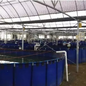 �����������ж�����ˮ�B���r���L�U��Ͷ�Y��֔��