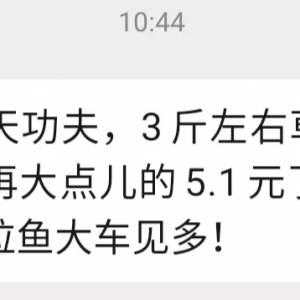 2020��3��17�ղ��~һ�����^�r(ji��)�����鲥��(b��o)