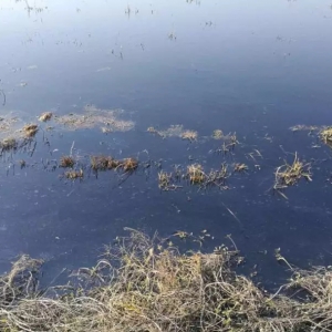 �紺���~�������񱬰l��ȫ���~���������