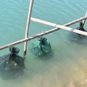 �O����з���\����ڽ��K���¡���e��