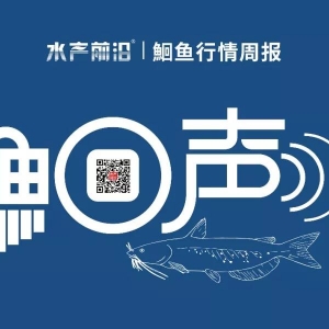 �t�~(y��)�r(ji��)�����9.8Ԫ/���������Դ���460�f(w��n)��