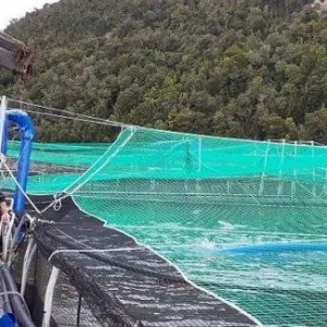 ͻ�l���к����匧�����f�l���������~������