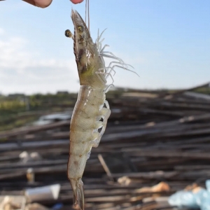 �Ј�ͻ׃�����r�r��Ҫ�qͣ�ˣ�