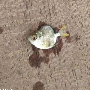 ���K�~���q��23Ԫ/�10����߃r��С���x���l���ˑKʧ��ʮ�f