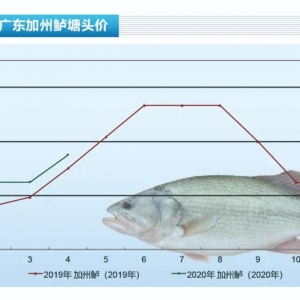 �����|���~�r��q��ˬ�в���������ˮ�aǰ�ء�2020��5�¿��Ј�څ��