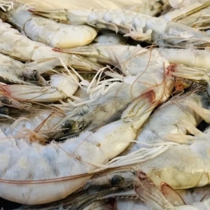 ��϶ࠖ���r4�³��ڻ�?q��)����?5%���W�����䣬�Ї���ů��֔����֔���������L(f��ng)�U��Ȼ�޴� ...