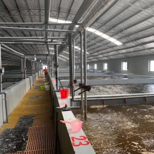 �������롰�����y����Ȧ������ͣ�a�����r��oȱ