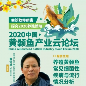 ���\�S��~��������2020�Ї��S��~�a�I��Փ���� ����ʬF