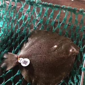 5��12��һ�ܶ����~�r�񲥈��������