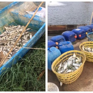 ���|�ֲ���ϯ�����}�����^��ˮ�����K�ң��]���Σ�| �_�������