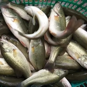 ȫ���ϝq��2020��5��18�ո��ؼ����|����r