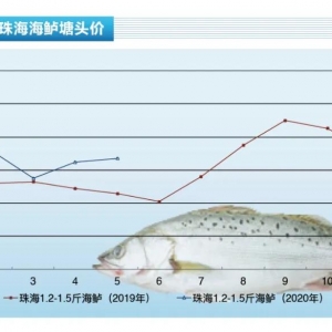 ���|�����r�����Нq�����ú������顪����ˮ�aǰ�ء�2020��6�¿��Ј�څ��