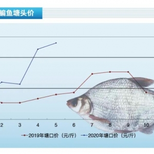 ���~�����r΢����������ԡ�����ˮ�aǰ�ء�2020��6�¿��Ј�څ��