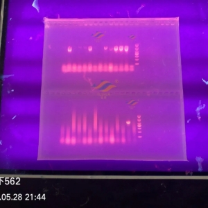 �����|��ʲ������ĳ�Ҋ�Y���c���ؽ��h