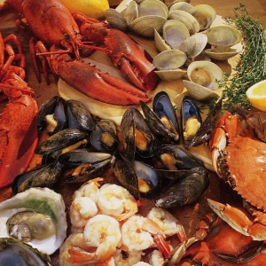 ȫ��(y��u)�|(zh��)ˮ�a(ch��n)����ʬF(xi��n)���R�۵�15���Ϻ���(gu��)�H�O�I(y��)���[��(hu��)��