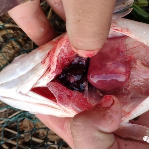 �K�������|���w�z���@Щ���}Ҫ����