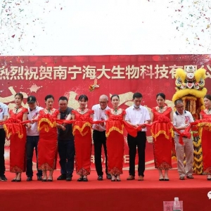 ����80�f������a(ch��n)���S�_�I(y��)��