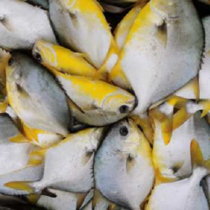 �r����������K���п���