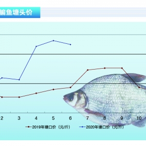 ���~���Bֳ�����Լ��г��ۣ��~�r���µ�������ˮ�aǰ�ء�2020��7�¿��Ј�څ��