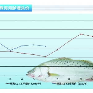 ���|�����鷴����ˮ܇����܇�r���»�������ˮ�aǰ�ء�2020��7�¿��Ј�څ��