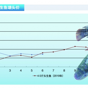 ���~���~�r���ԣ�����Ӱ�?zh��n)Bֳ��Ͷ��e�O�ԡ�����ˮ�a(ch��n)ǰ�ء�2020��7�¿��Ј�څ��