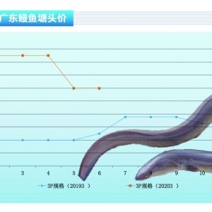 ���~�������������Ҏ��r���ϝq������ˮ�aǰ�ء�2020��7�¿��Ј�څ��