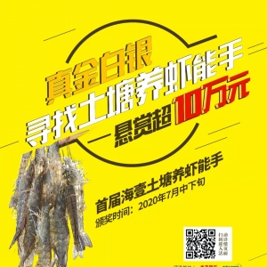 ̽ӑ�����B�r���L��10�fԪ���𵽵׻����l��