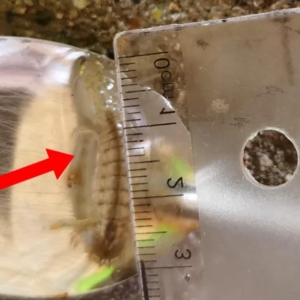 �����ˣ�ƤƤ�r���״��˹���ֳ�ɹ�