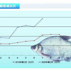 ���~���¿����~���t���У��~�r�����Ƹߡ�����ˮ�aǰ�ء�2020��8�¿��Ј�څ��