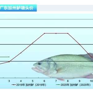 �����|���~�r���N���p�p�»�����ů����������ˮ�aǰ�ء�2020��4�¿��Ј�څ��