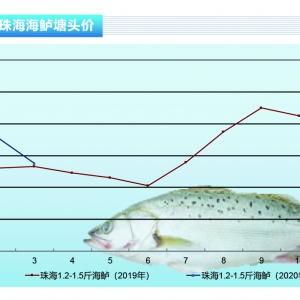 ���|���������������r����m�»�������ˮ�aǰ�ء�2020��4�¿��Ј�څ��