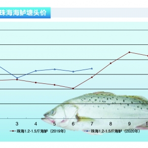 ���|�����^ȱ�~�����|�r����m�ߝq������ˮ�aǰ�ء�2020��8�¿��Ј�څ��