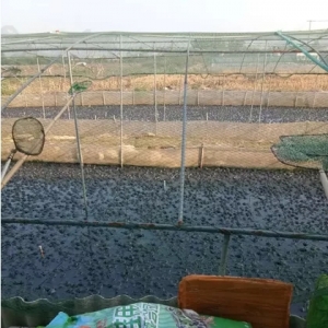 ̫�o���ˣ�ţ�ܴ������18Ԫ/��