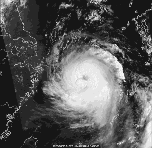 �����_�L�����������������|�������L���꼴������