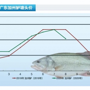 �����|���V�|���~���У��~�r���»�������ˮ�aǰ�ء�2020��9�¿��Ј�څ��