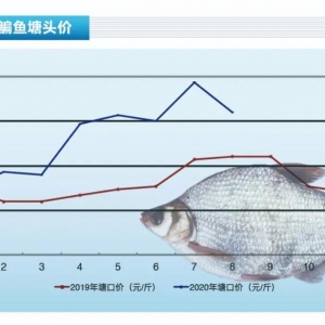 ���~�����~���У��f�~��β�r���ٽ�������ˮ�aǰ�ء�2020��9�¿��Ј�څ��