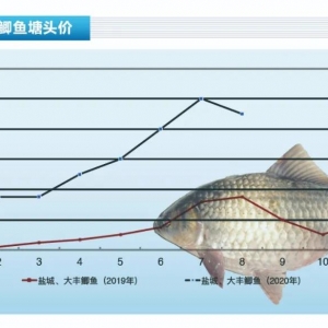 �a�~�����~���Ѓr���������~ȱ؛�����ͦ������ˮ�aǰ�ء�2020��9�¿��Ј�څ��