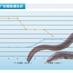 ���~������������r�q���n�������r��������ˮ�aǰ�ء�2020��9�¿��Ј�څ��